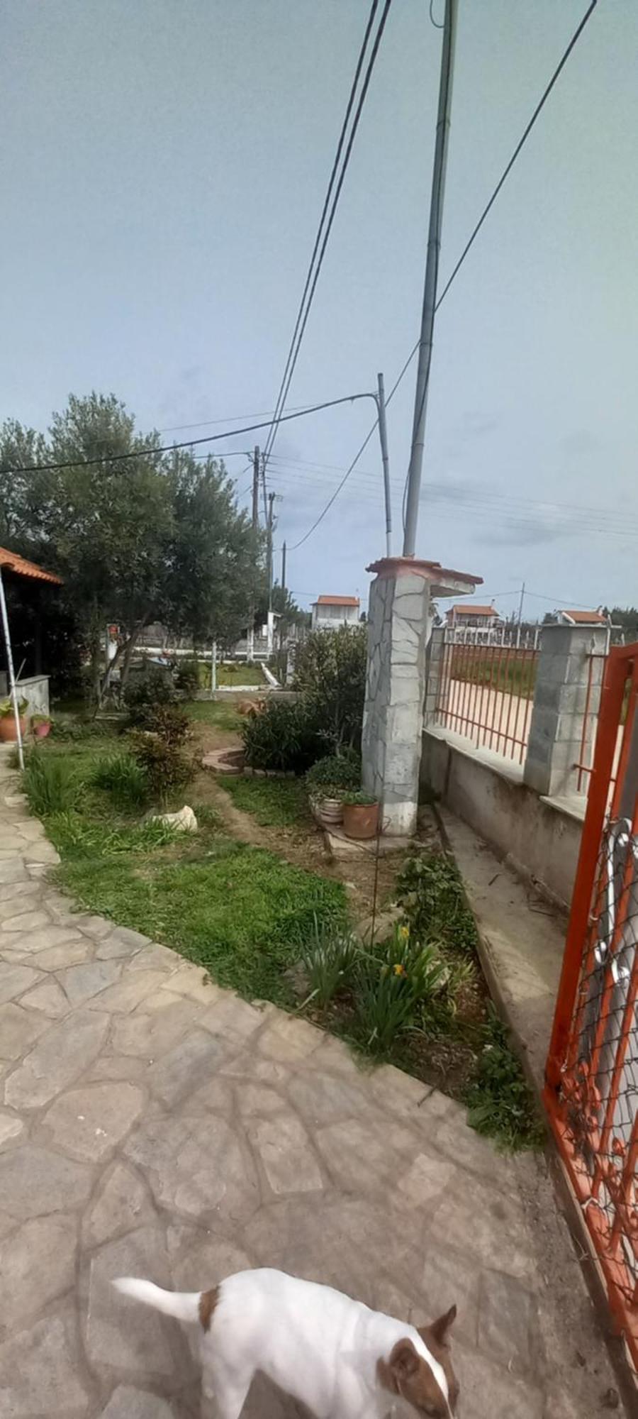 Villa Julia Nea Plagia Zewnętrze zdjęcie